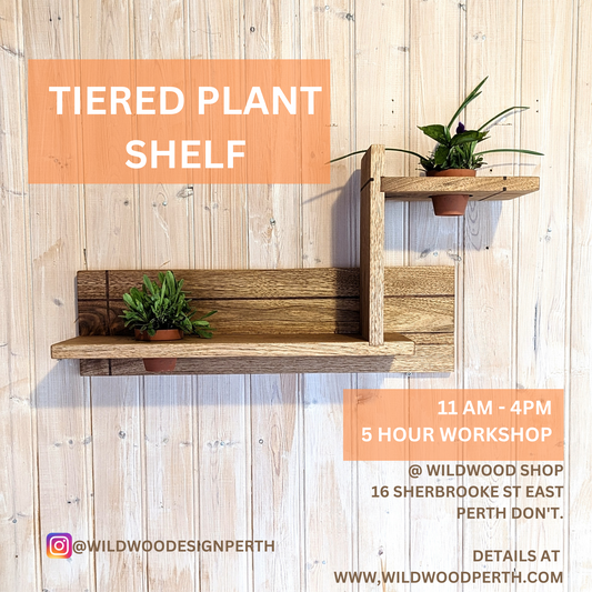 Tiered Plant Shelf Workshop